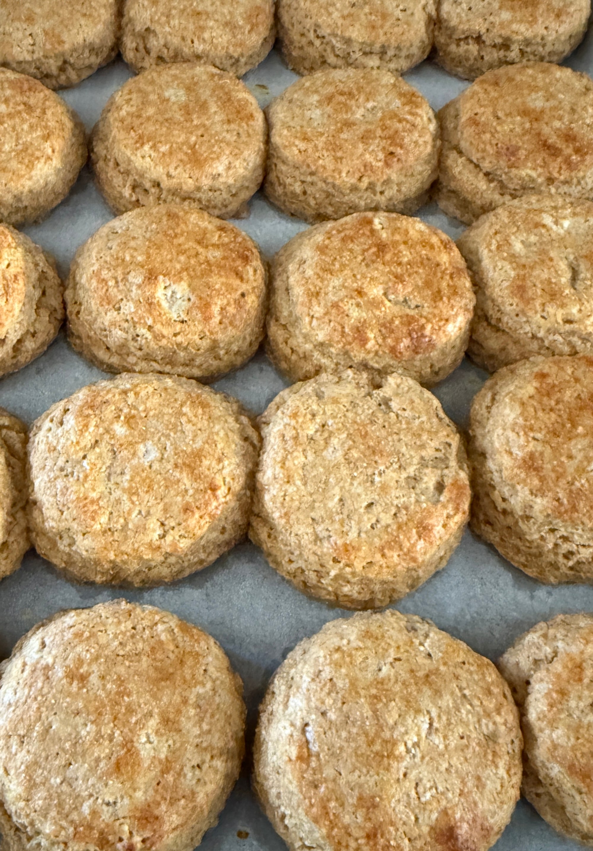 Country Biscuits (Baked, Fresh)