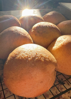 Dinner Rolls (Baked, Fresh)